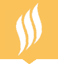 SSS Developers logo