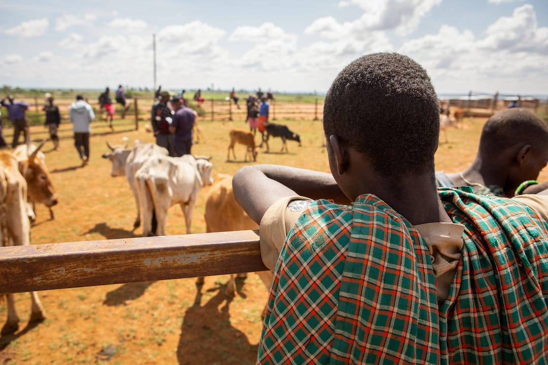 Laikipia West Community Dispute Escalates: Two Killed, Over 200 Displaced as Homes Torched in Retaliation