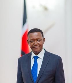 Alfred N. Mutua