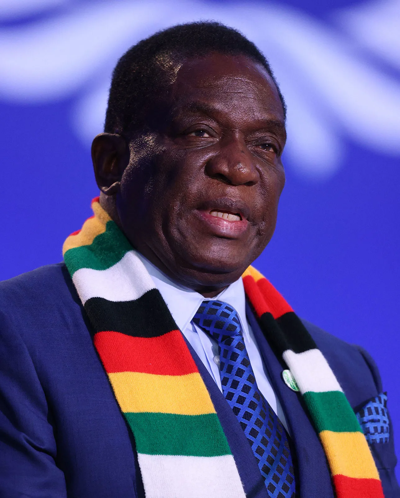 Bellarmine Mugabe: everything we know so far — image 4